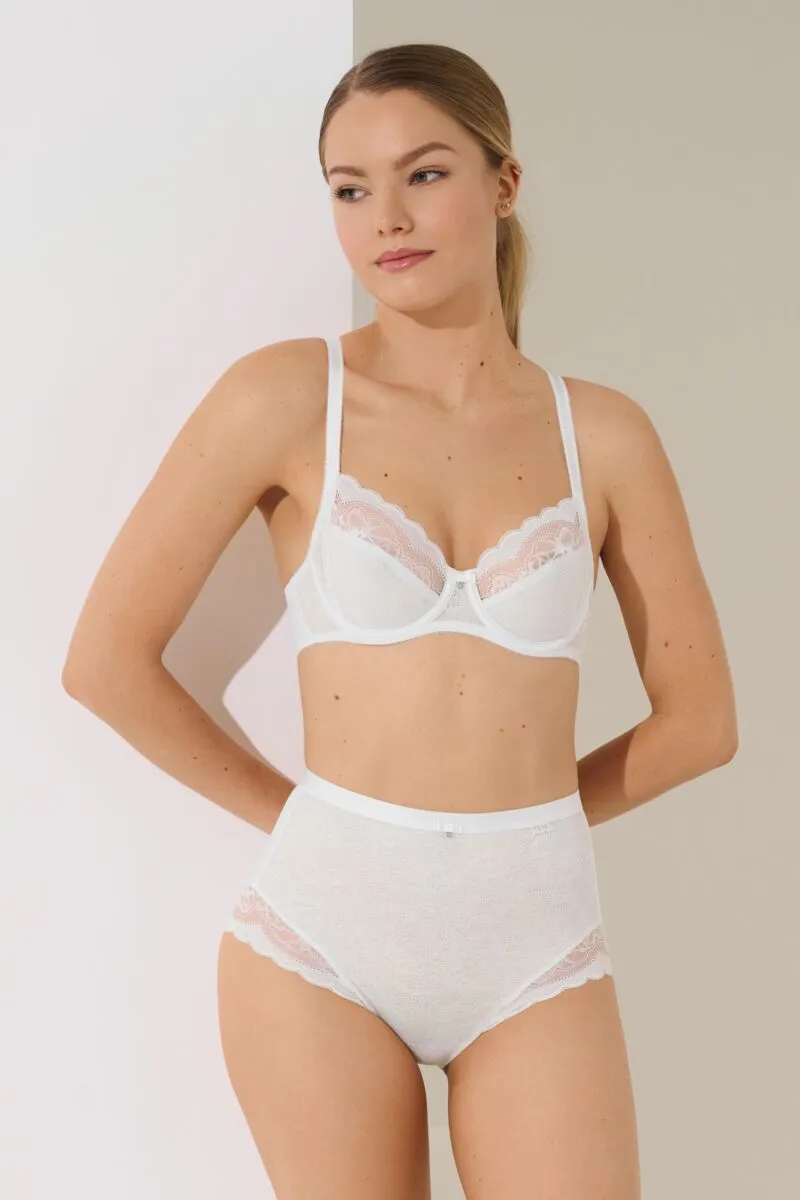 022193 EVELYN Briefs