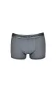 032017 ZEUS Mens Boxer - Graphite Gray
