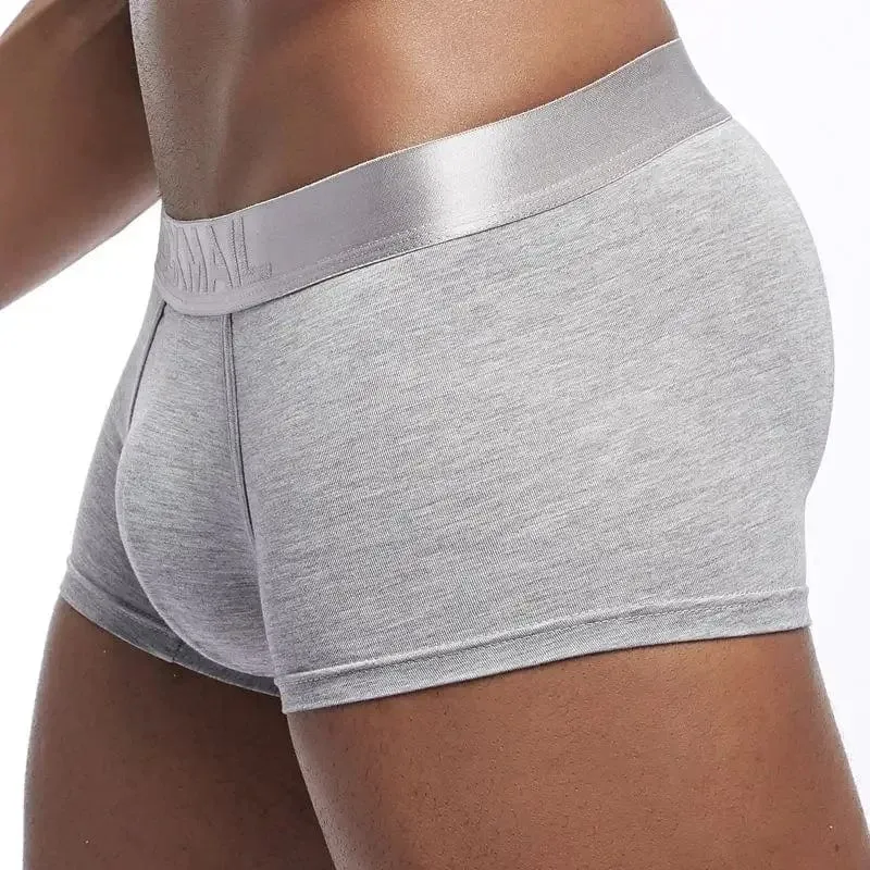 4 Pack Silky Waist Underwear