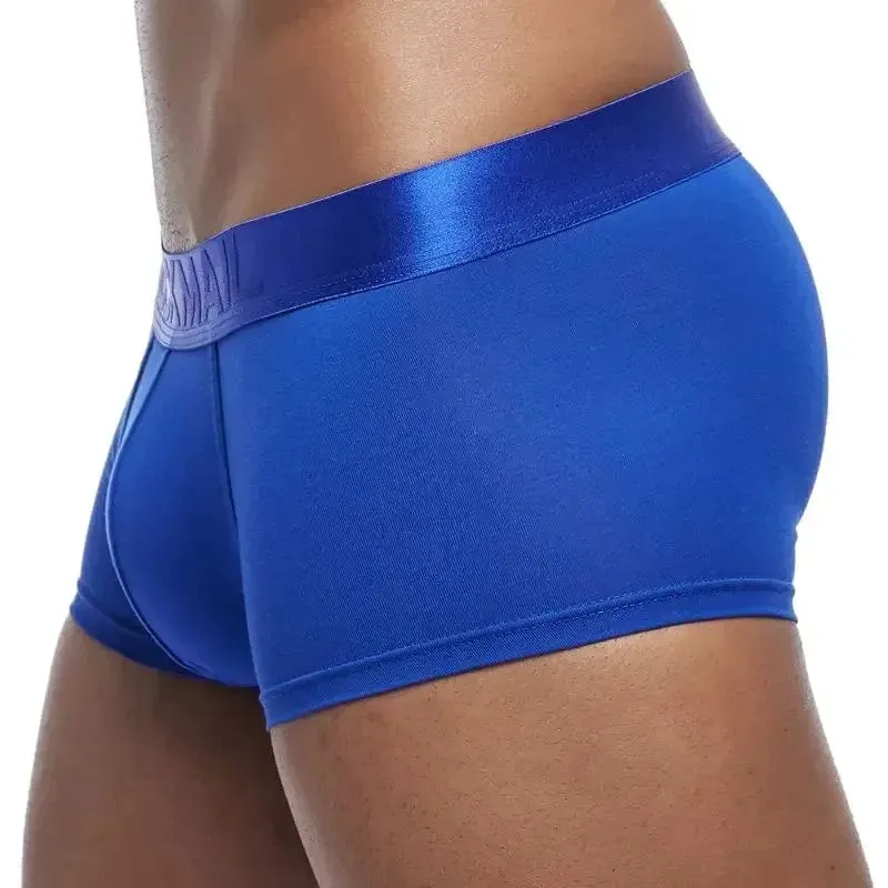 4 Pack Silky Waist Underwear