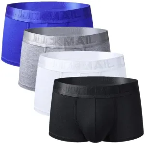 4 Pack Silky Waist Underwear