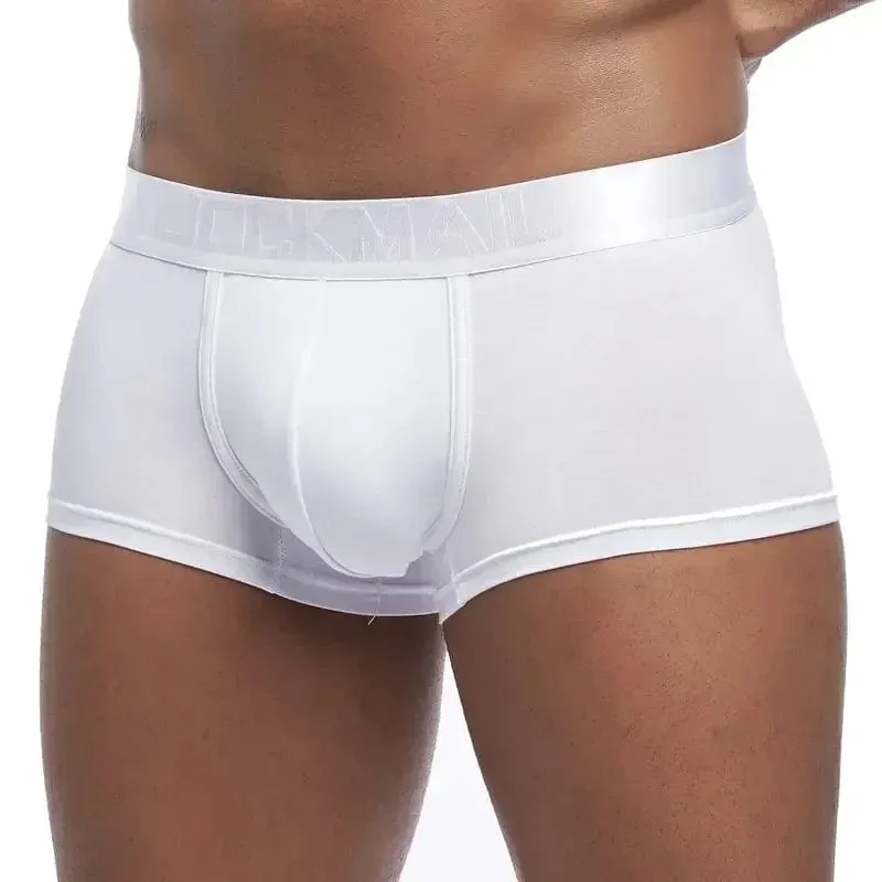 4 Pack Silky Waist Underwear