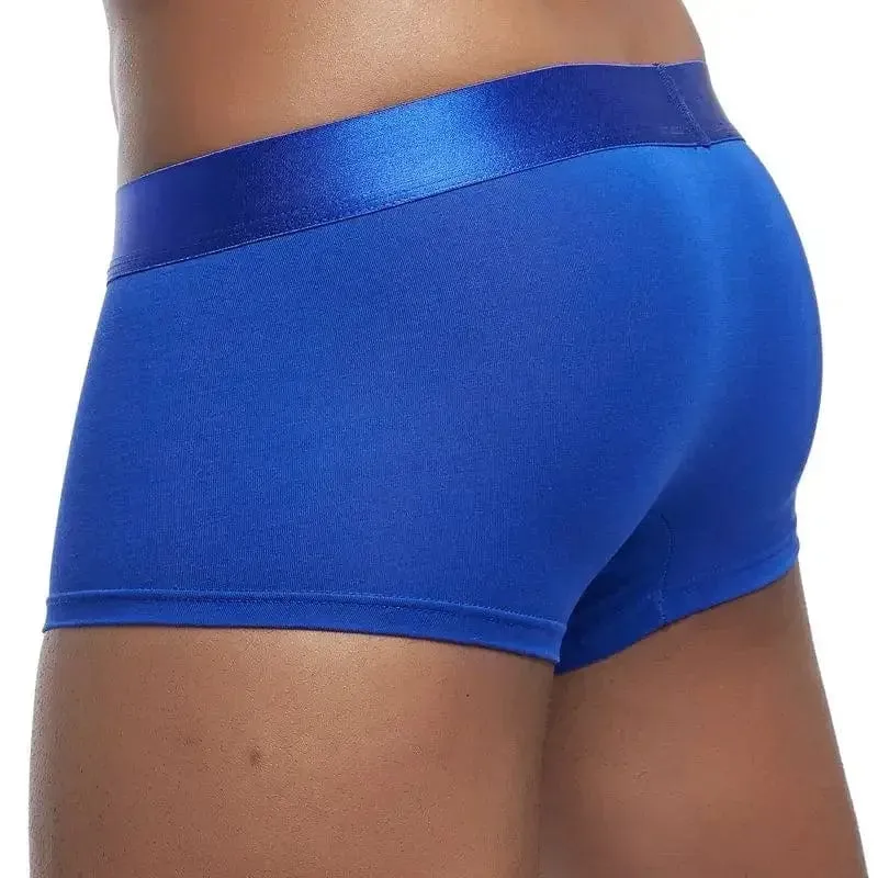 4 Pack Silky Waist Underwear