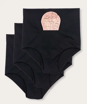 FourthWear Postpartum Recovery Underwear set of 3   Between Legs Perineal Ice Heat Pack Saver Set