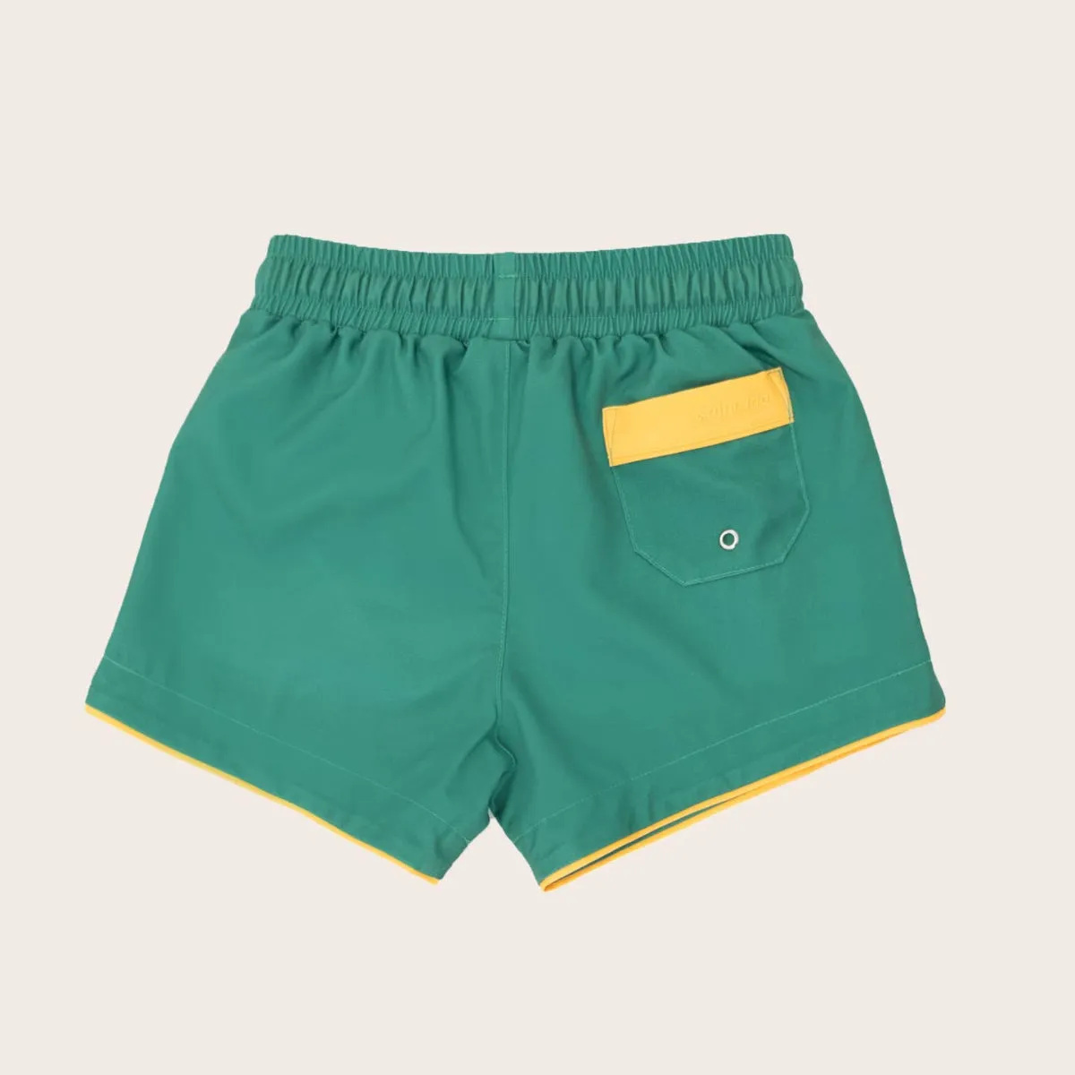 Hamptons Swim Shorts - Green