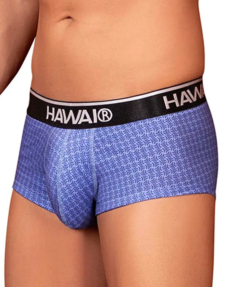 Hawai 42431 Printed Briefs Blue