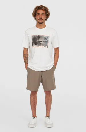 Hybrid 19" Chino-Shorts | Pure Cashmere