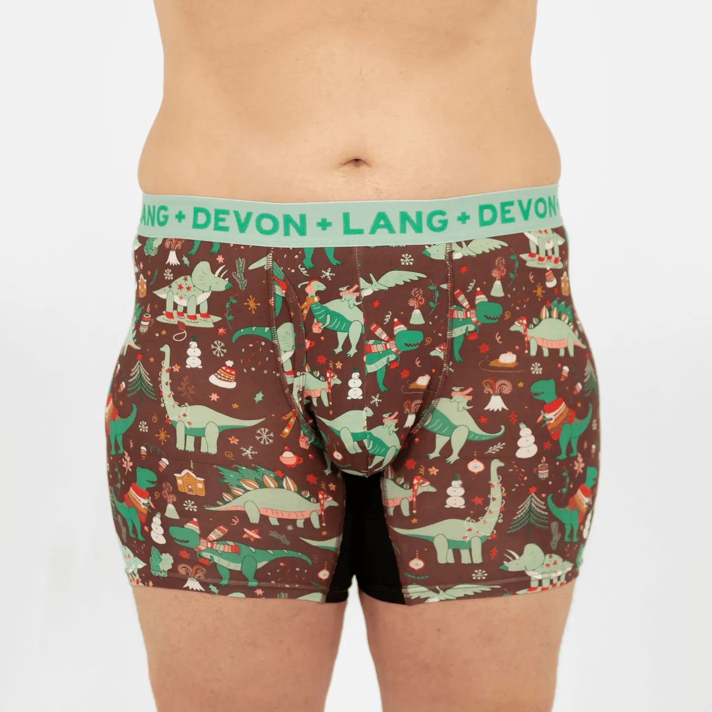 Journey Boxer Brief - Chilly Dinos