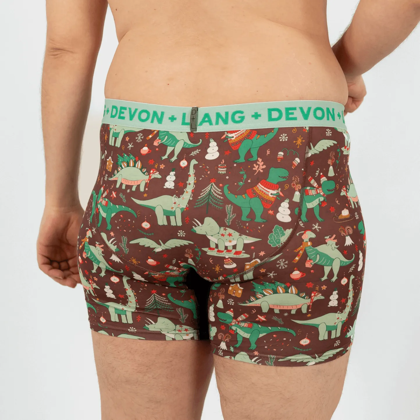 Journey Boxer Brief - Chilly Dinos