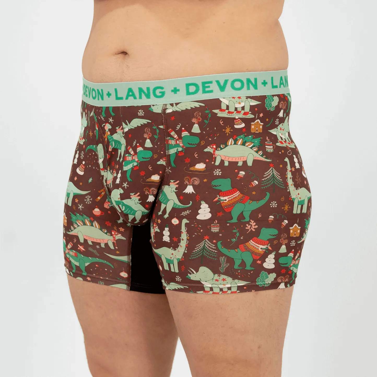 Journey Boxer Brief - Chilly Dinos