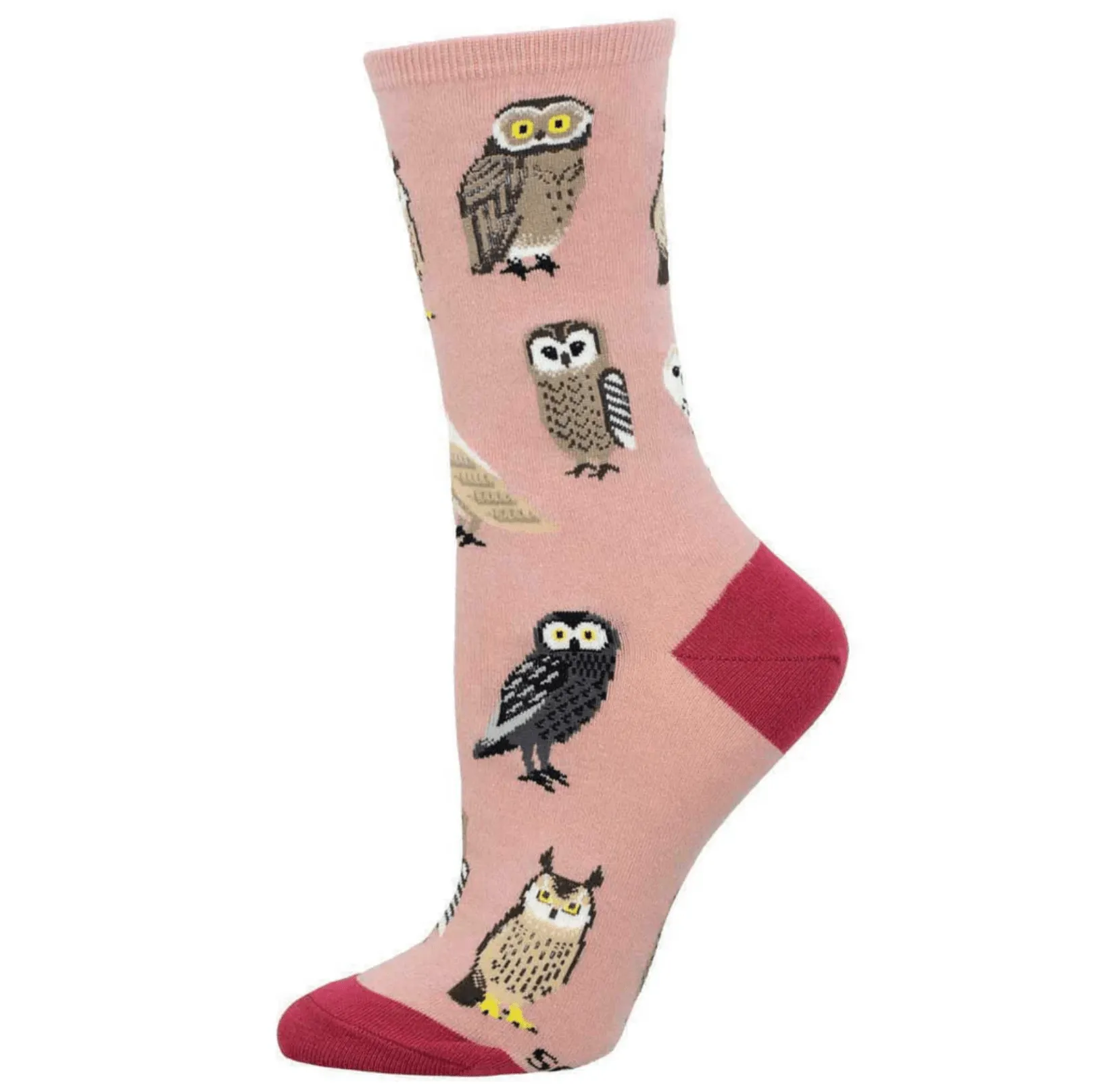 Parliament of Owls Socks (Copy)
