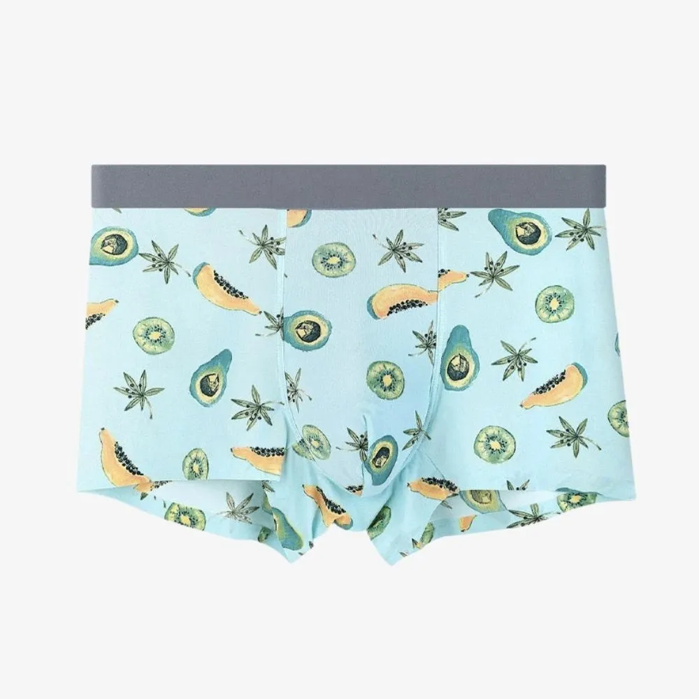 Printed Ice Silk Underpants for Men (5-Pack) JEWYEE 8108