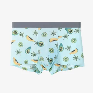 Printed Ice Silk Underpants for Men (5-Pack) JEWYEE 8108