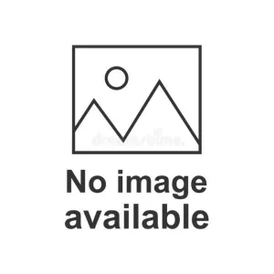 Smartwool Women's Run Zero Cushion Ankle Socks