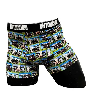 Untouched Cow boxer