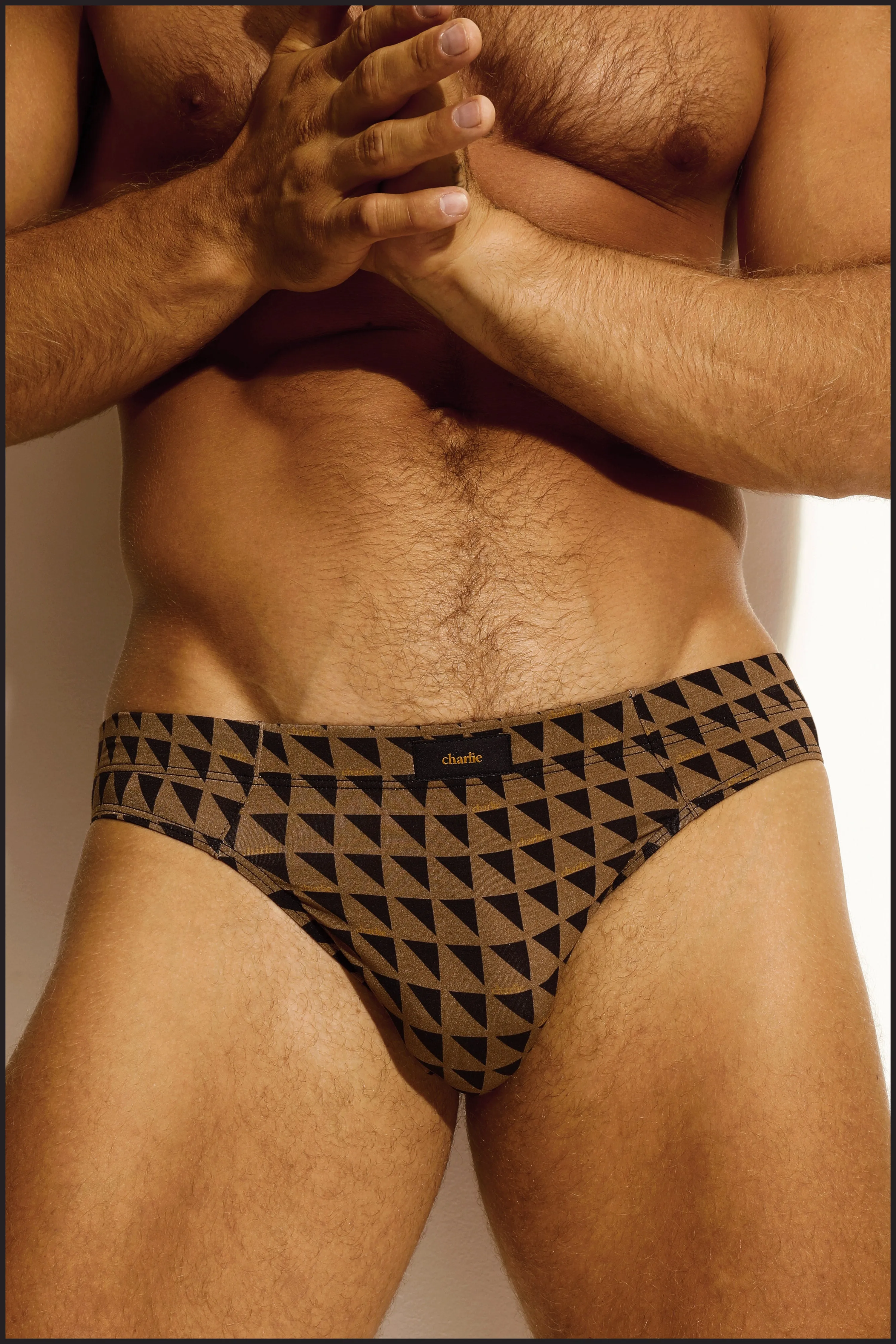 Vintage Brief - PRINTED
